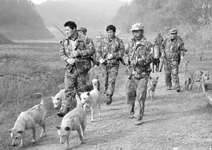 野猪要保护,为祸可猎捕