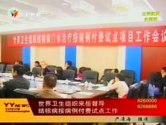 世界卫生组织来岳督导