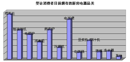 2010中国厨房电器市场消费行为调查报告 (4)