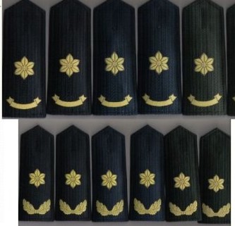 1月13日娱情】宋祖英到底是不是将军?