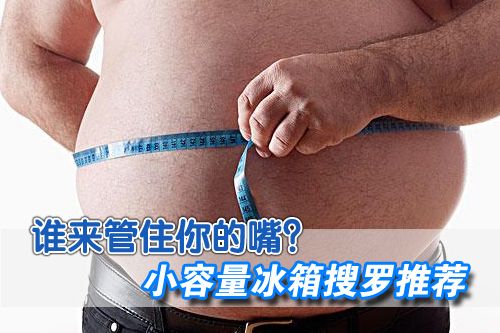 谁来管住你的嘴？小容量冰箱搜罗推荐 