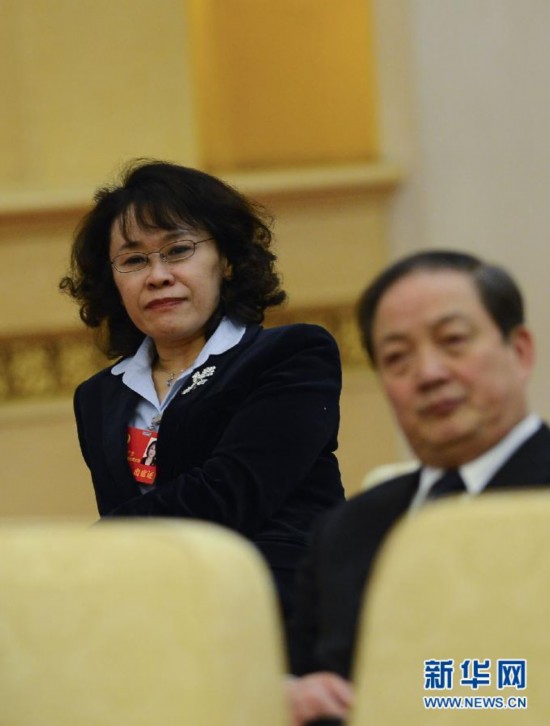 （十八大）（24）代表团分组讨论向媒体开放