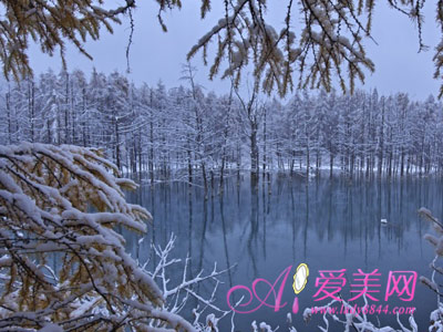 秋冬季节气候变化大 养生须知2原则4方法