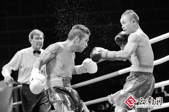 朝忠将赴墨西哥参加wbc年会 或将成拳王阿里关