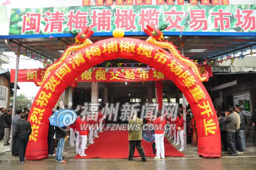 闽清县成立橄榄交易市场搭建平台 还将依托网络销售