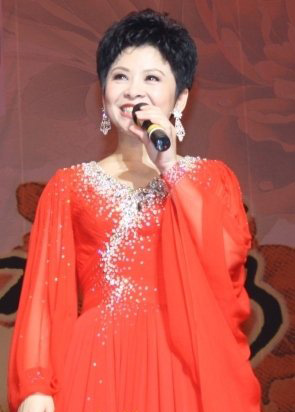 董文华沉寂10年真相 婚姻往事神秘老公揭秘