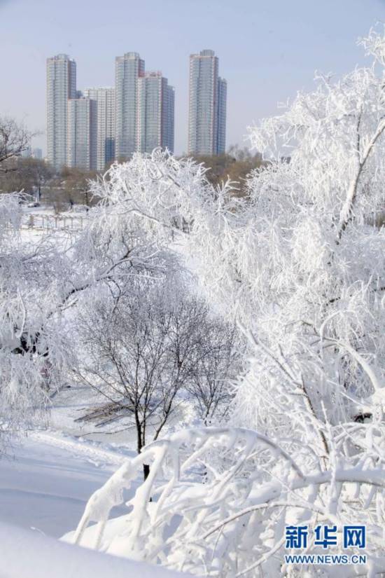 12月5日在吉林市江滨公园拍摄的雾?美景.