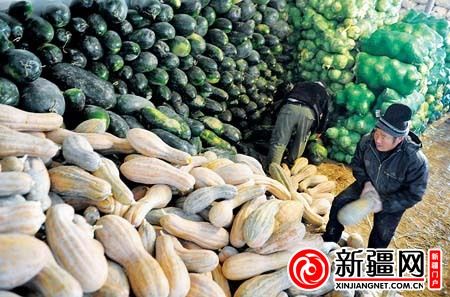 12月7日，在北园春蔬菜批发市场“市政府储备菜投放点”，工作人员正在为直销点选配蔬菜。（本报记者陈岩摄）