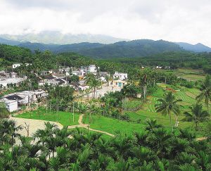 农业银行收入证明模板_农民农业收入