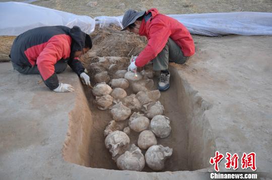 图为清理人头骨。陕西省考古研究院摄