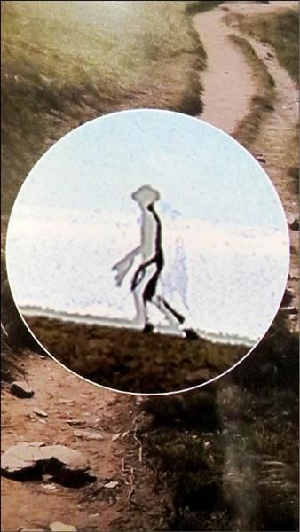 台湾外星人照片曝光