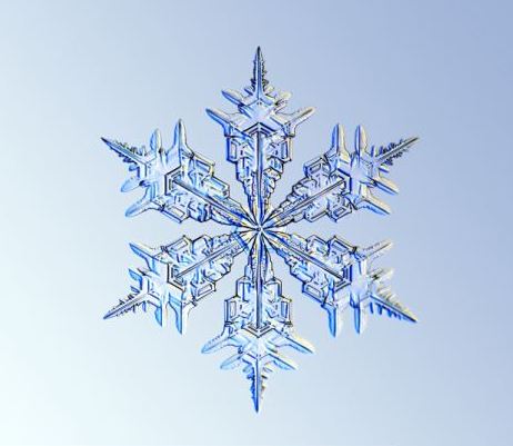 科技      我们常听说每一片雪花都是不同的,但实际上这用肉眼很难