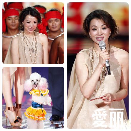 2013春晚主持少周涛 董卿领衔春晚华服盘点(图)