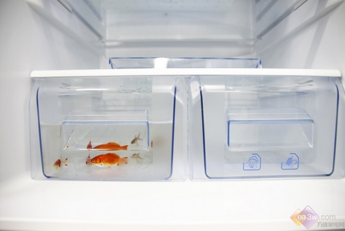 樂享綠色科技 海信變頻冰箱智能無霜 