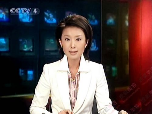 董卿周涛刘芳菲沈星 盘点央视十大美女主持(图)