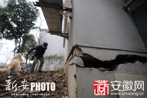 合肥繁华世家小区多栋楼房墙体开裂