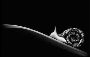 �зN�����J��@�~�|