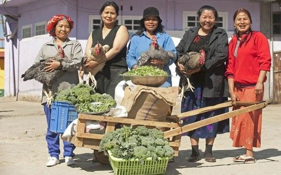 世界上人口最多的家庭_家庭人口迁移路线图