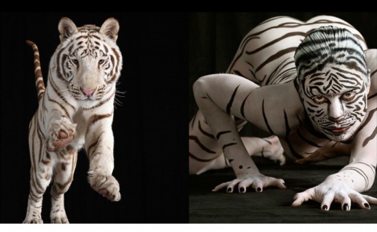 人体艺术彩绘震撼展现极致之美 组图