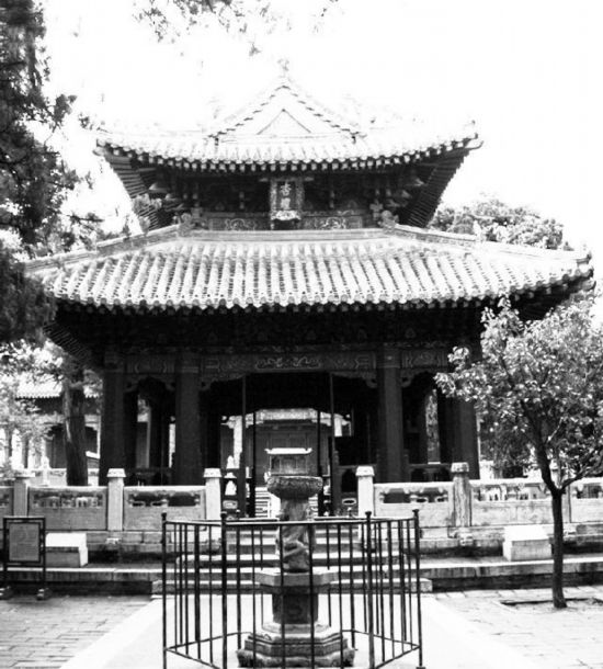 张振飞:细读孔子体认君子