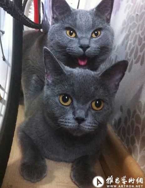 ���ವİ԰�