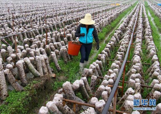 [城市·印象] 法院判李阳家暴成立准离婚 鸟叔内