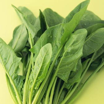 大象网都市频道直播 河南都市频道