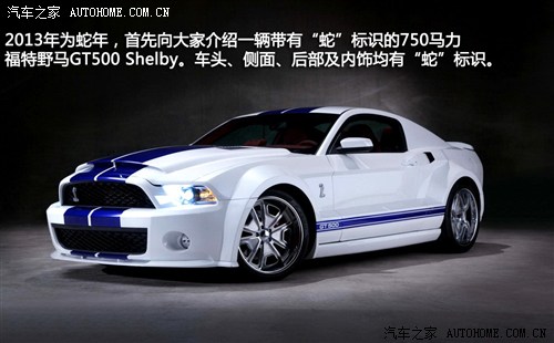 ظ()Ұ2013 GT500 Shelby Cobra