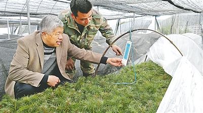 点击图片查看详情 建瓯市人口_建瓯市行政区划和人口(3)