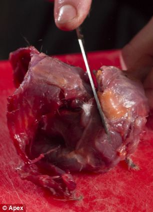 另类美食!英餐厅烹制灰松鼠肉称其鲜美无比(组图)