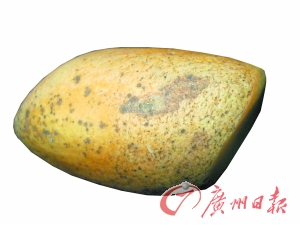 ʯ ժǡз