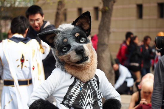 xfޡIxW}ݲCOSPLAY