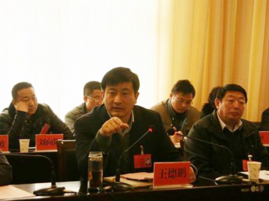 王德鹏:"大庄村不脱贫,我们就不会离开"