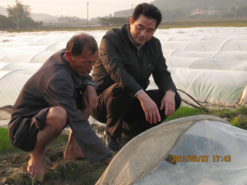 农业厅领导调研食用菌工厂化生产