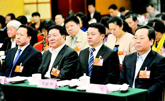 湖北代表团举行第八次全体会议 李鸿忠王国生等出席