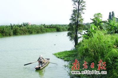 湿地公园,世界农场…麻涌镇结合水乡