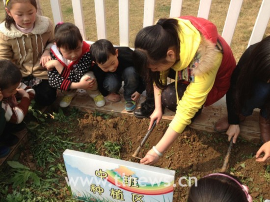 西湖中心幼儿园开展爱绿、护绿、种绿活动