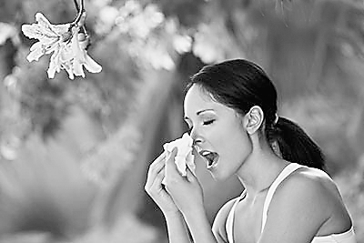 润肺清火,缓解春季过敏