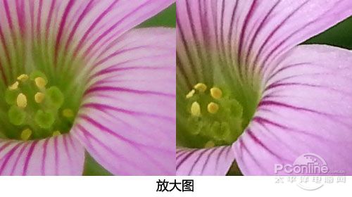 低调小巧 5寸1080p四核手机索尼L35h评测