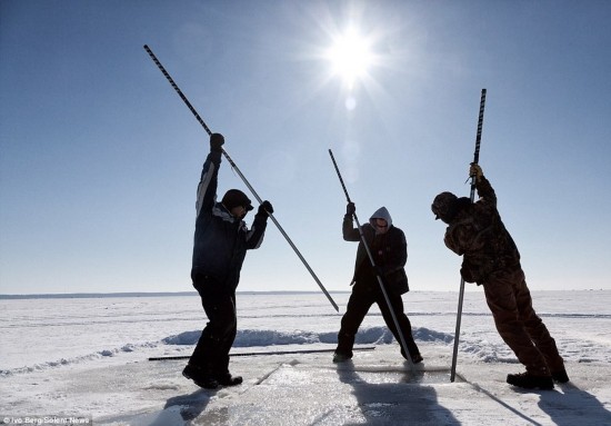 实拍:美国渔民零下14度湖上凿冰捕鲟鱼(组图)