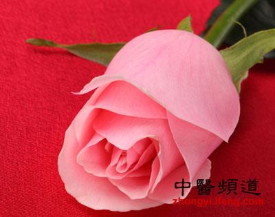 盘点十大鲜花的养生防病功效