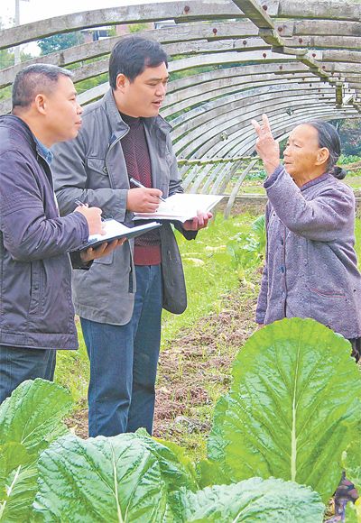 派驻于都县贡江镇东溪村干部仔细了解农户蔬菜种植情况 曾长生 摄