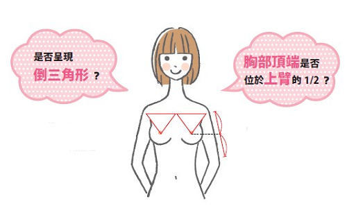 <em>女性</em>养生:揭秘<em>女人</em>胸部的黄金比例--健康卫生频