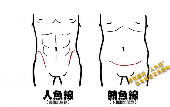 型男都有<em>人鱼线</em> 色女最爱美男指标--时尚--人