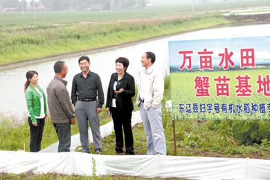 安石镇人口_李庄安石村图片