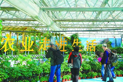 揭秘北京农业嘉年华的"明星"制造