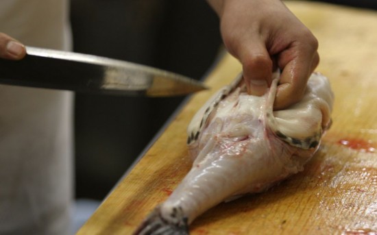 河豚（Fugu）