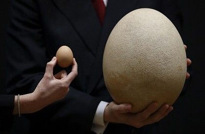 Ӣ׶ؼʿ24һö񵰻ʯ 