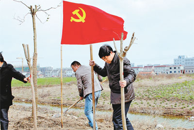 江苏盐城基层党组织统一活动日掠影