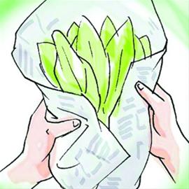 养生:保存叶菜有诀窍 包张纸巾放冰箱(图)